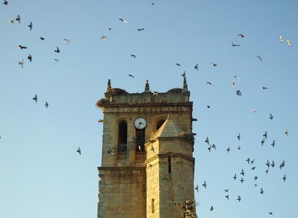 Vadocondes